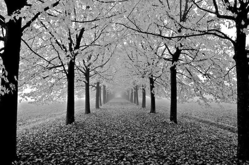 Autumn in the Venetian countryside