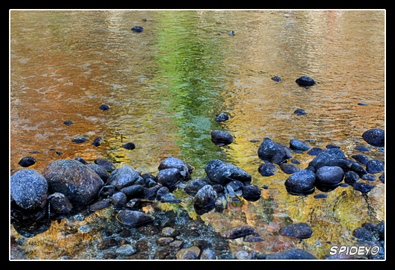 Colori autunnali riflessi nel torrente