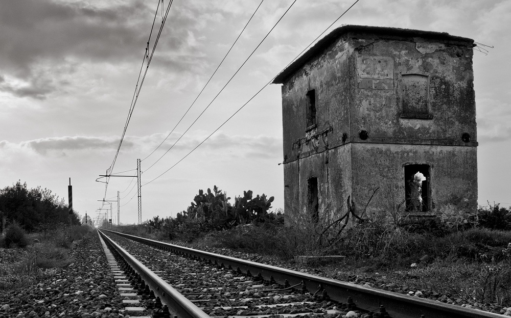 va dove ti porta il cuore