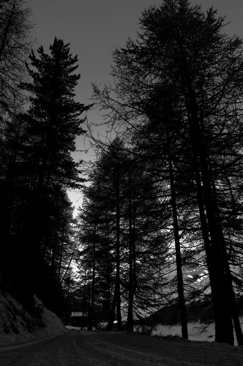 Non entrate in quella casa...