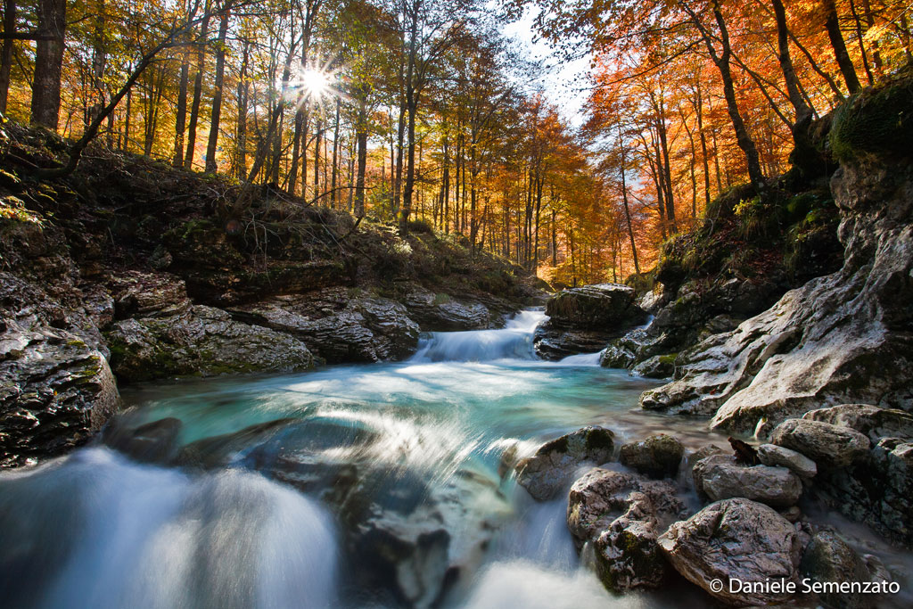 Semplicemente l'autunno...
