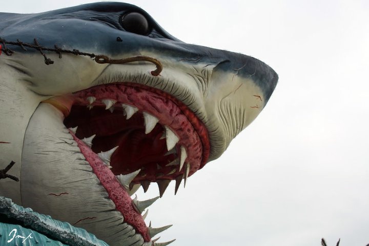 Carnevale di Viareggio 2010