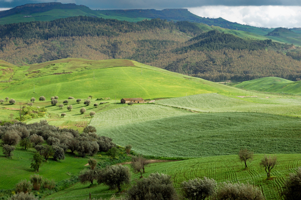Pomeriggio nella valle dell'imera
