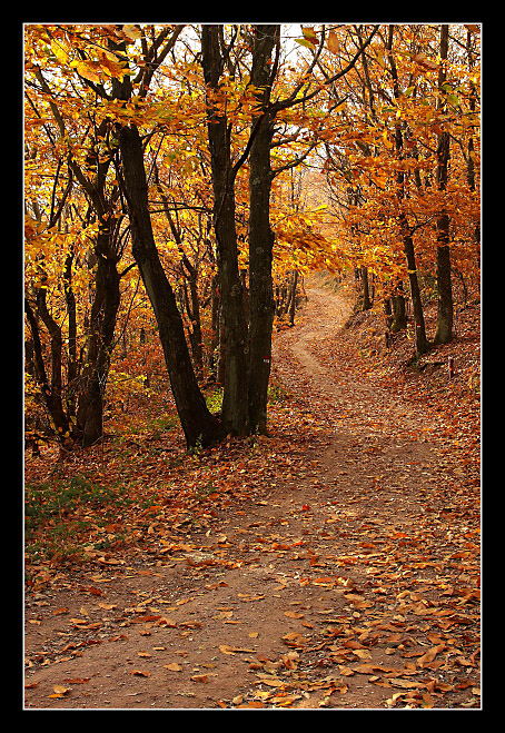 Autunno sul monte Serra - 2