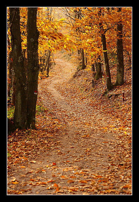 Autunno sul monte Serra - 3