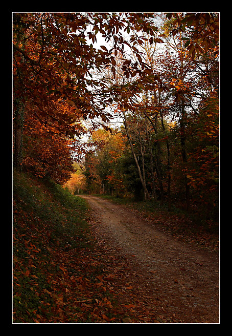 Autunno sul monte Serra - 5