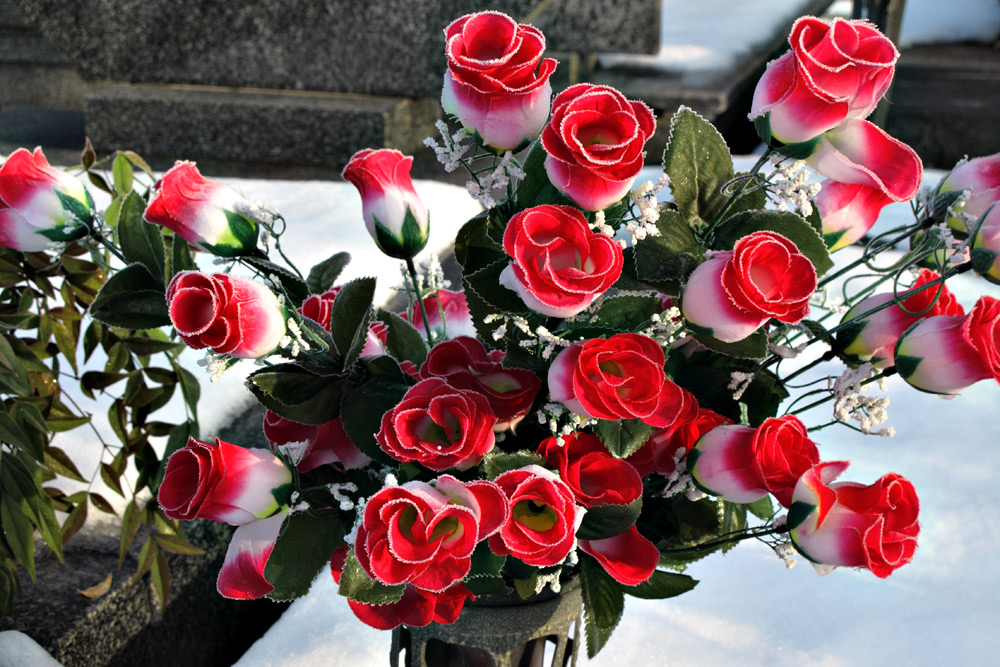 Commemorazione Defunti