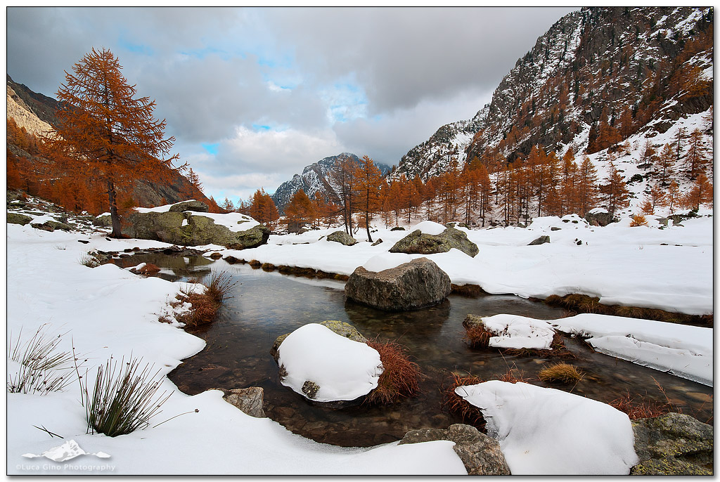 Prelude to winter II