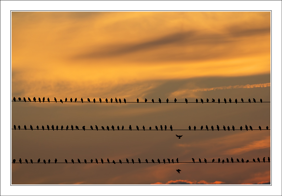 In fila per tre col resto di due