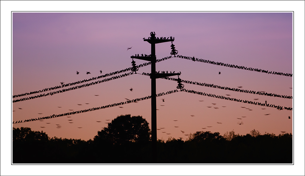 Completo - No Vacancy