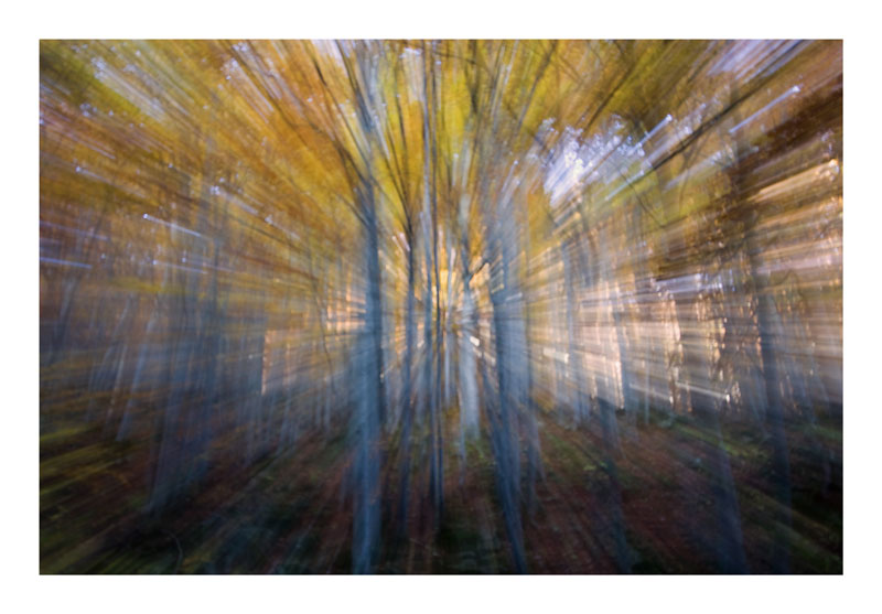 Impressioni di.... novembre