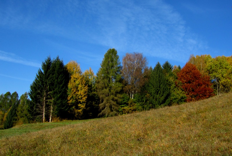 Sfumature d'autunno 2