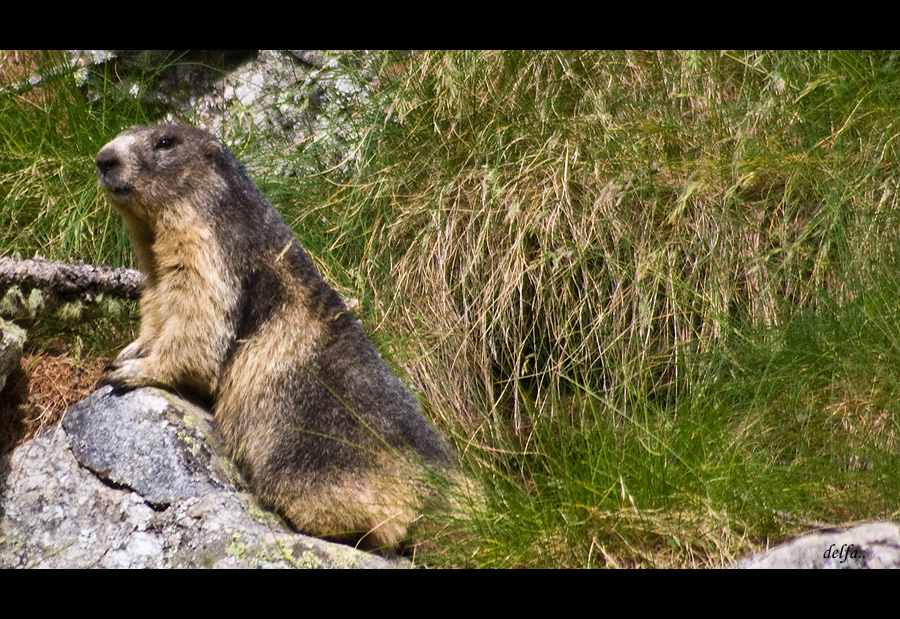QUASI PRONTA PER L'INVERNO