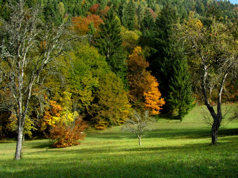 Sfumature d'autunno 4