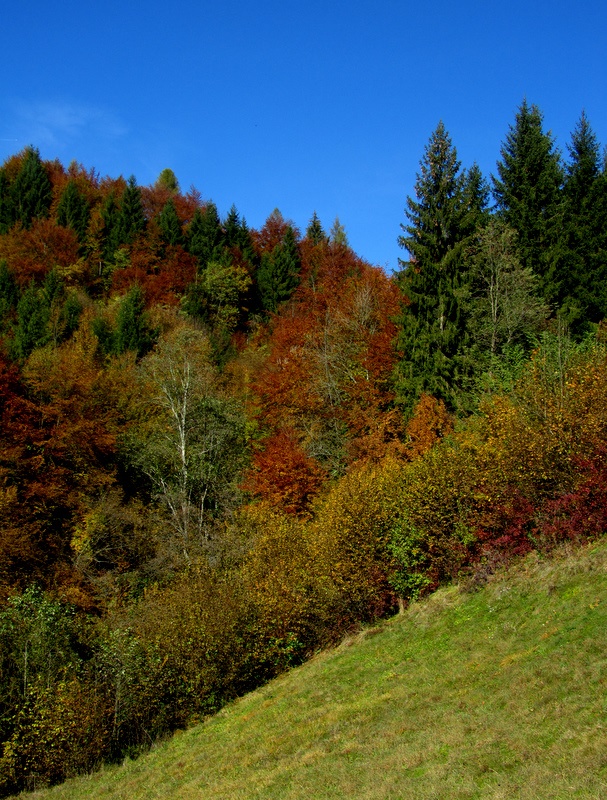 Sfumature d'autunno 5