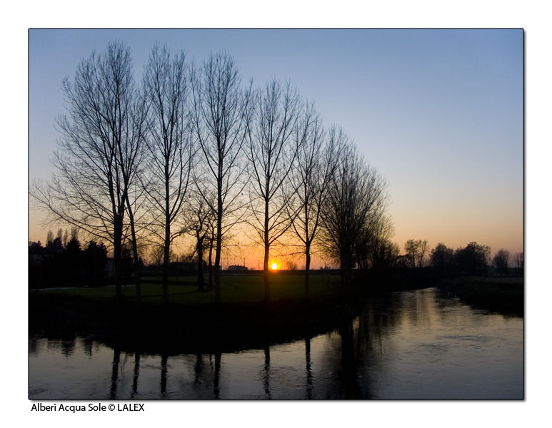 alberi acqua sole