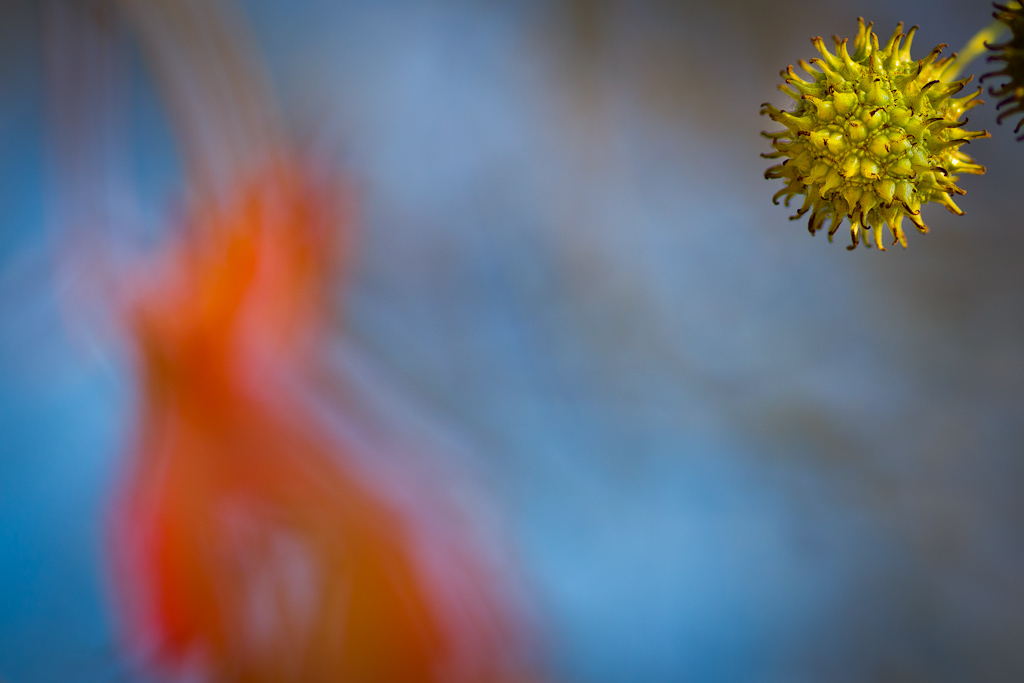 quasi astratto autunnale