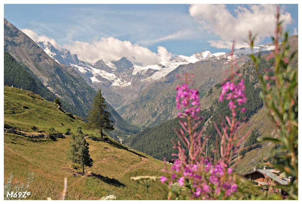 A diversa profondit�....