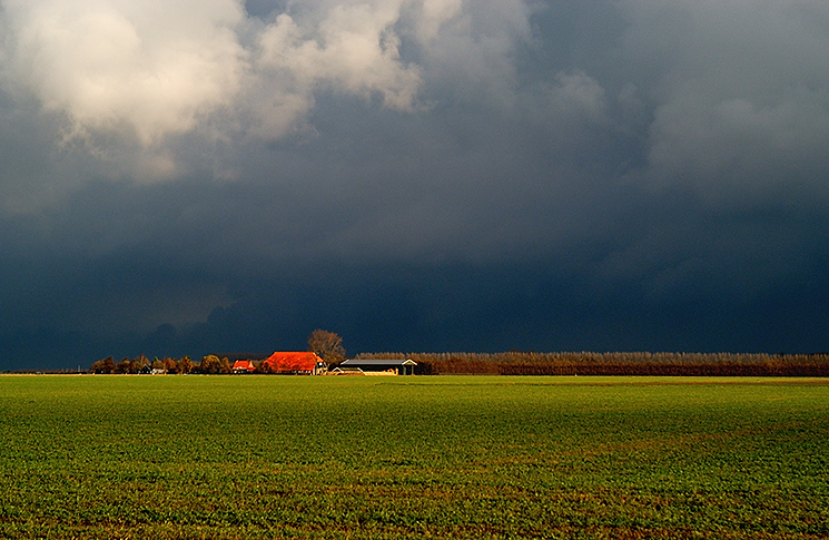 Paesaggio bucolico olandese