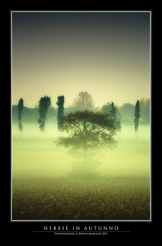 Nebbie in Autunno