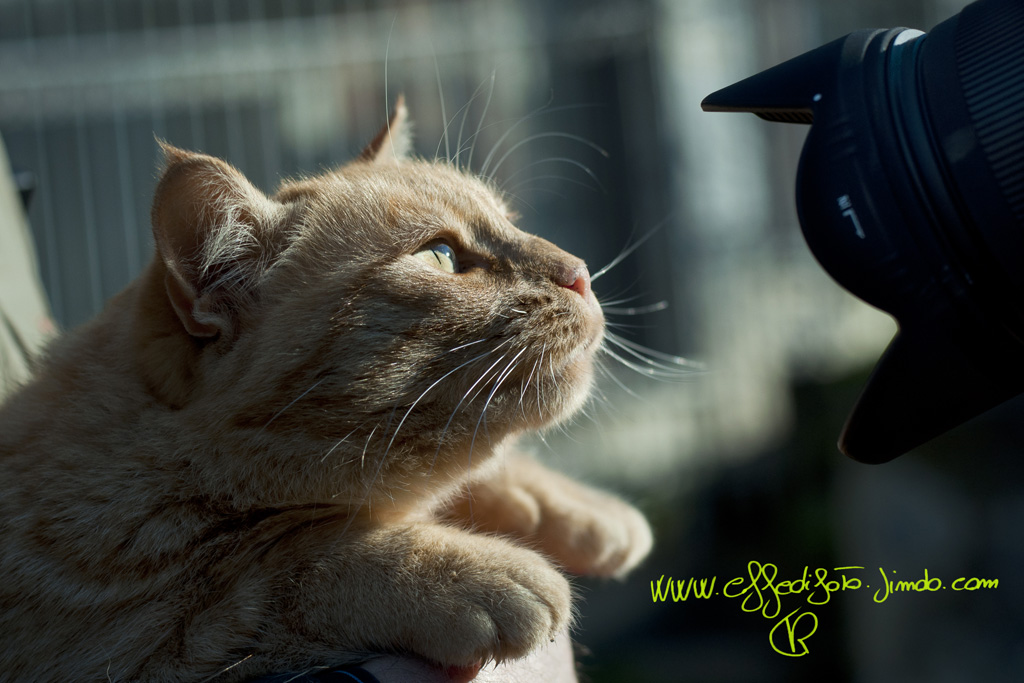 Chi guarda pi� intensamente?!!