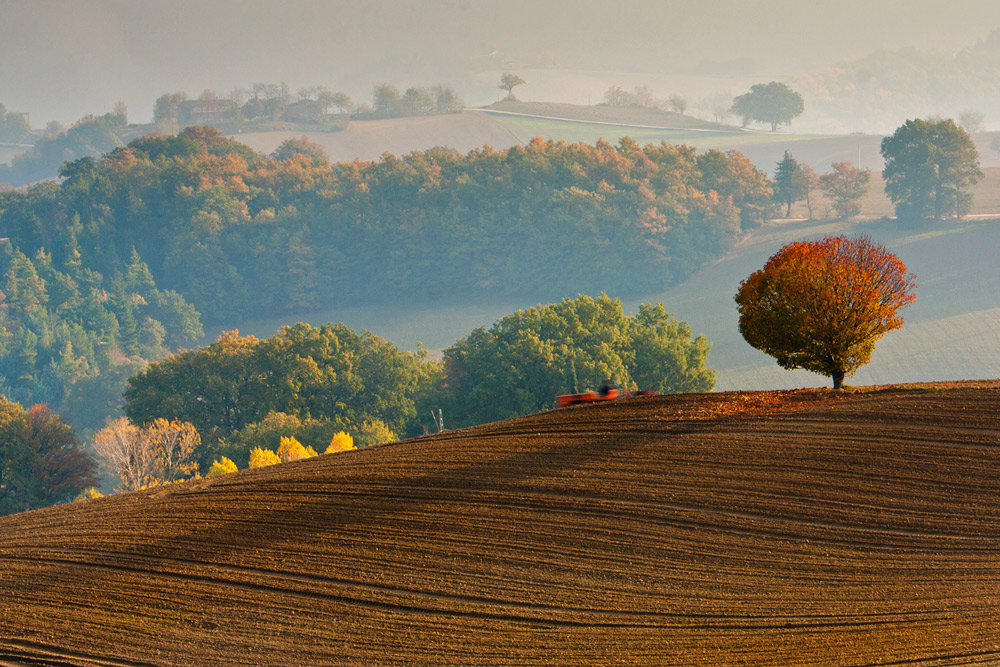 Il lavoro al mattino