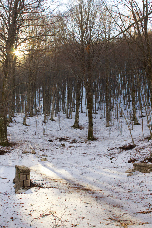 Al Terminio III (AV)