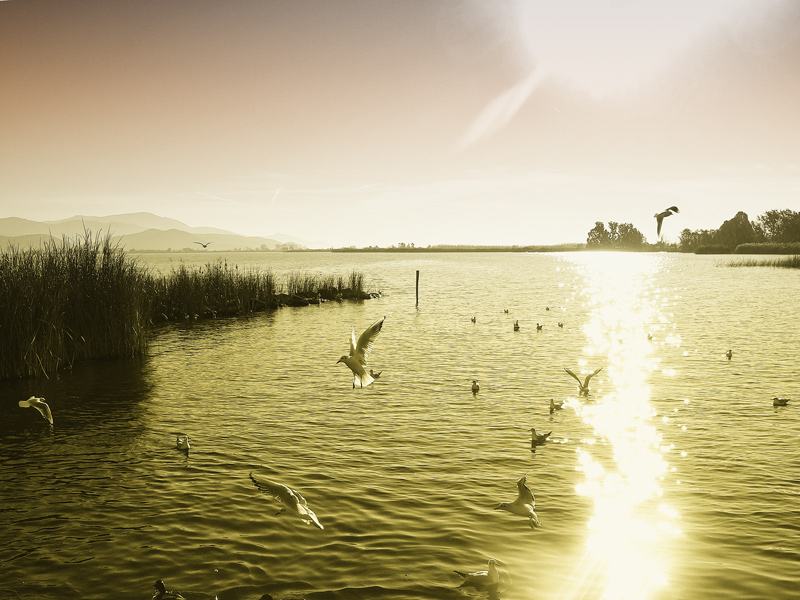 Silenzio e tranquillit�