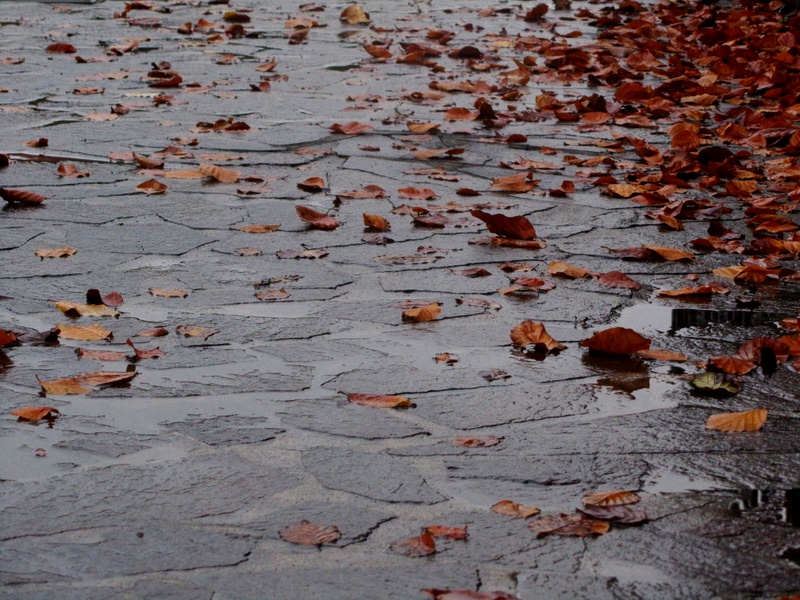 Autunno bagnato