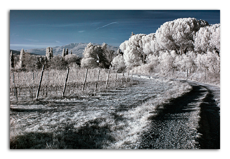 Passeggiando in campagna!
