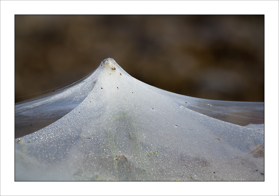 Tele, trame e merletti nella nebbia della pianura