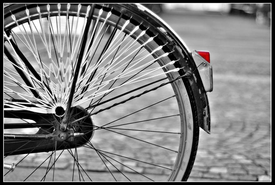 ruota bicicletta