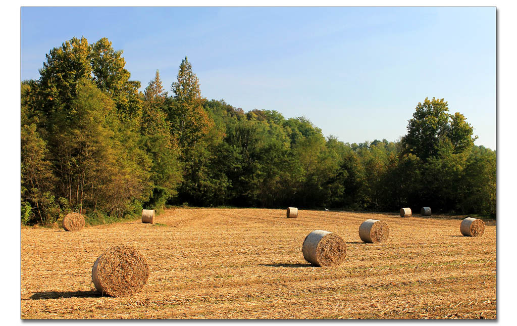 Autunno in campagna