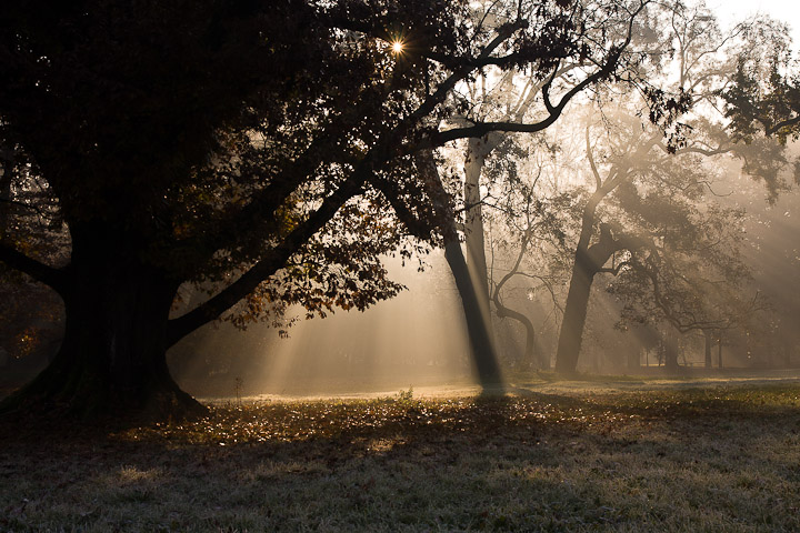I giardini della Villa Reale di Monza