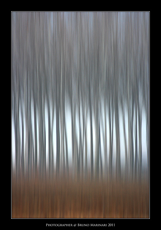 Lo spirto degli alberi.