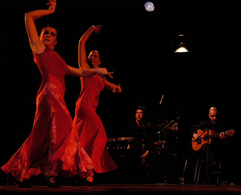 flamenco