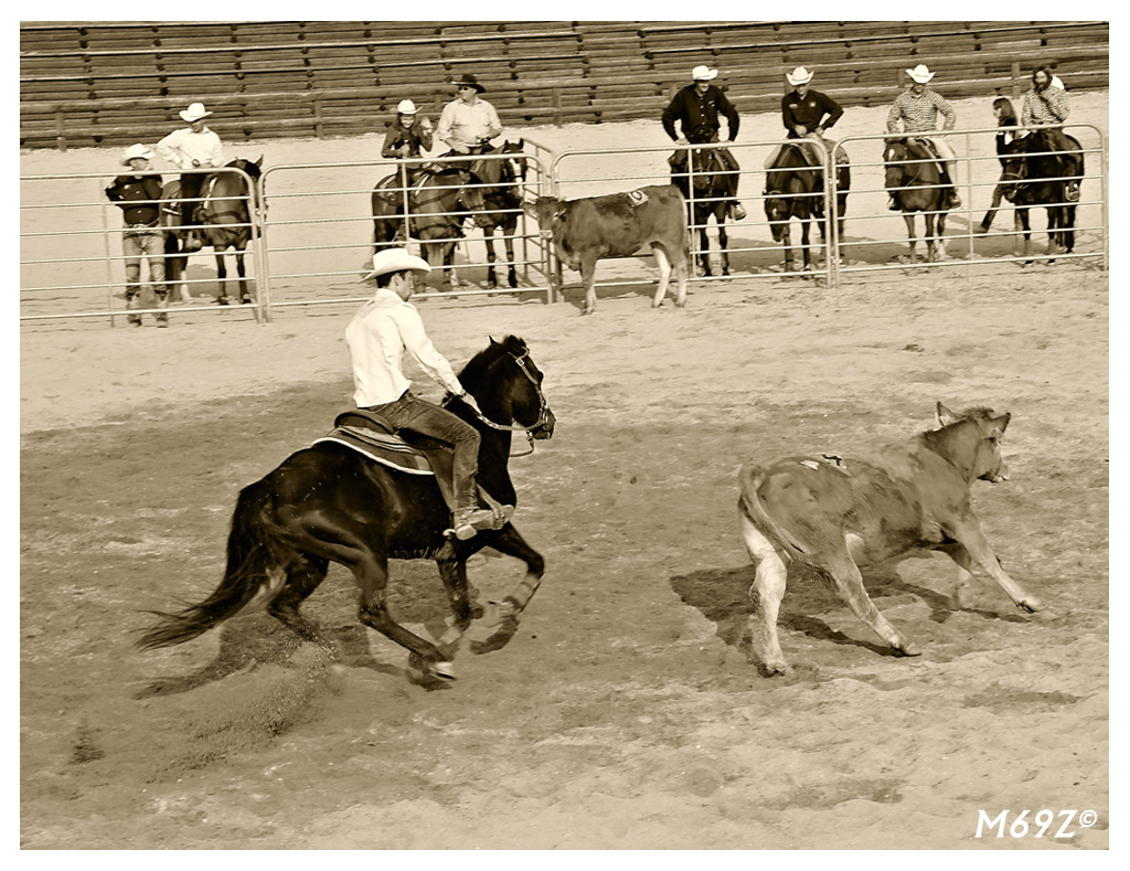 Modern cowboys