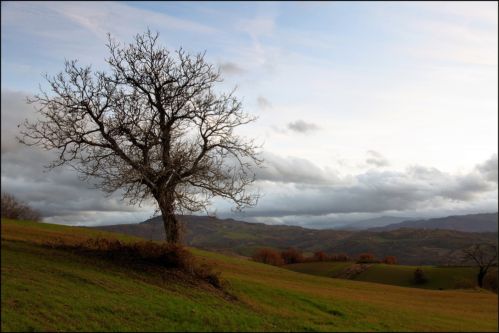 Aspettando la Primavera