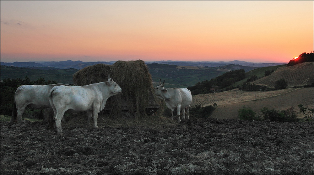 La quiete della sera