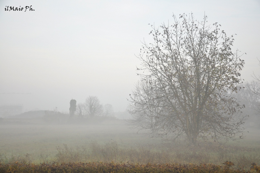 Domenica mattina, ore 8.03...