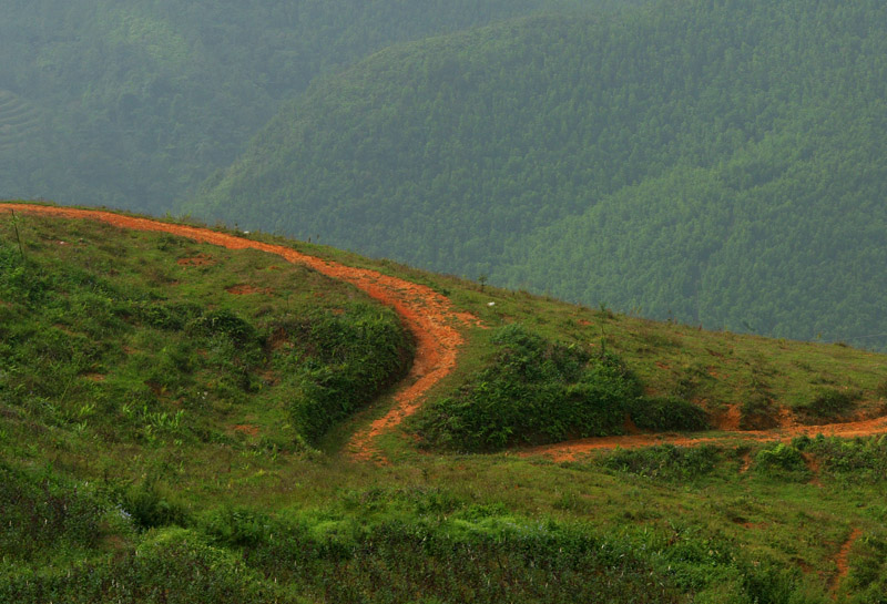 stradina rossa vietnamita