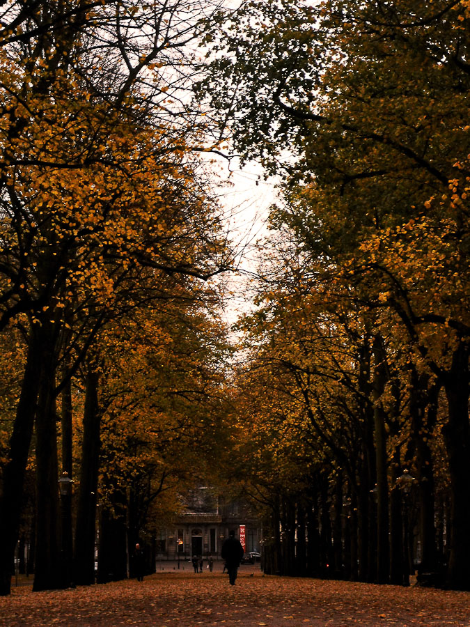 Autumn in Den Haag