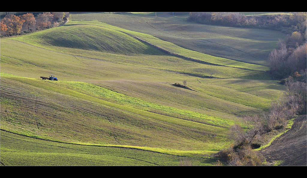 Campagne marchigiane