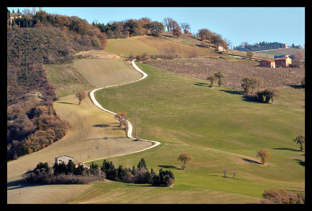 La stradina bianca fra i campi