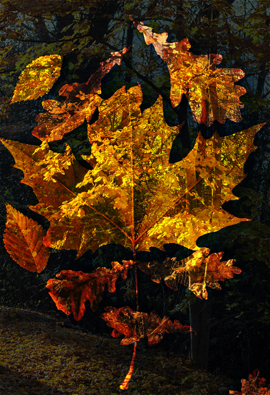 Impressioni d'autunno