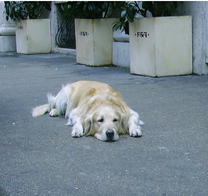 solitudine e stanchezza n.2