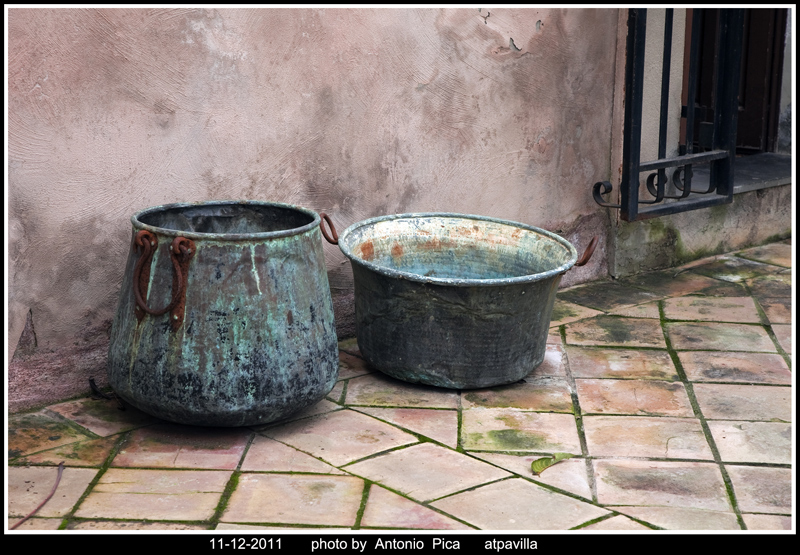 eppur,ne hanno viste di cotte e di crude.