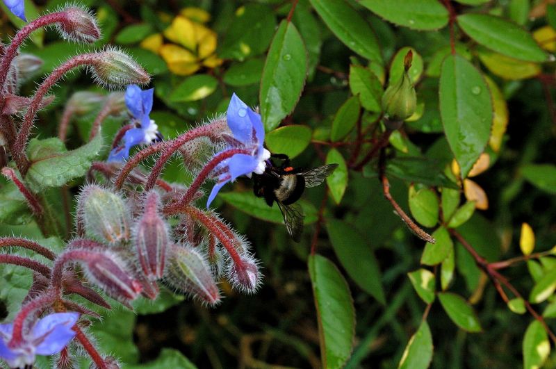 ricordi di primavera