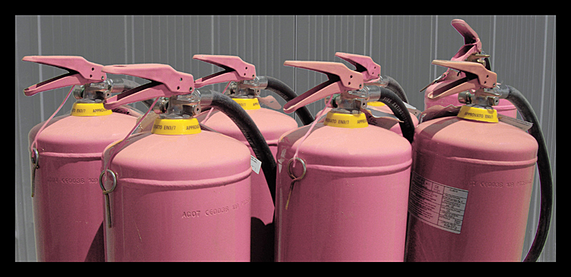 li credevamo estinti