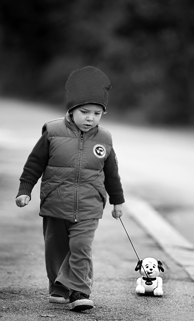 A spasso con il cane